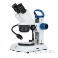 Microscópio Binocular de Microscópio Binocular WF10x/20mm Microscópio Microscópio